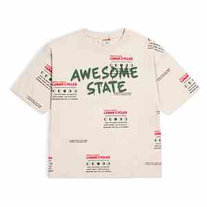 تی شرت Awesome state 